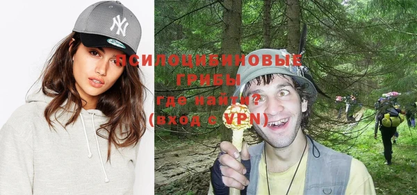 ALPHA PVP Белокуриха