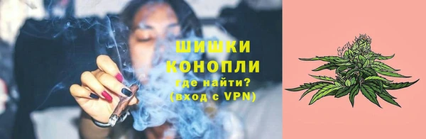 спайс Бикин