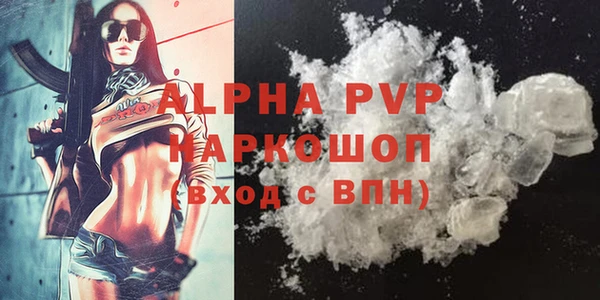 прущий лед Богданович