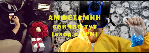 прущий лед Богданович