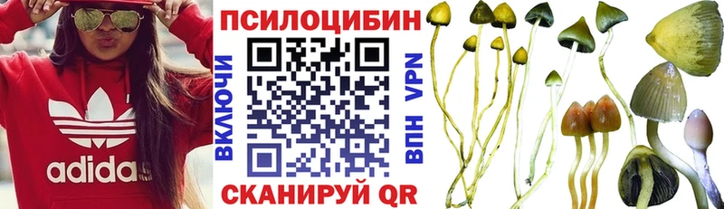 Псилоцибиновые грибы прущие грибы  что такое   Гулькевичи 