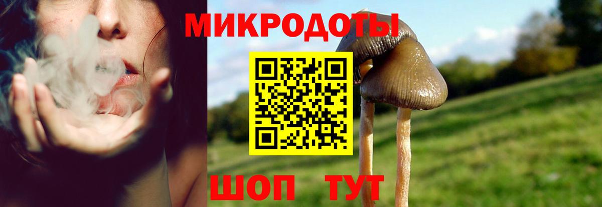 Галлюциногенные грибы Magic Shrooms Гулькевичи